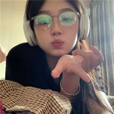 加菲猫家族