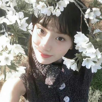 半支情粤语